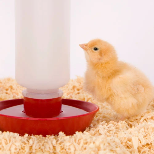 Chick bedding